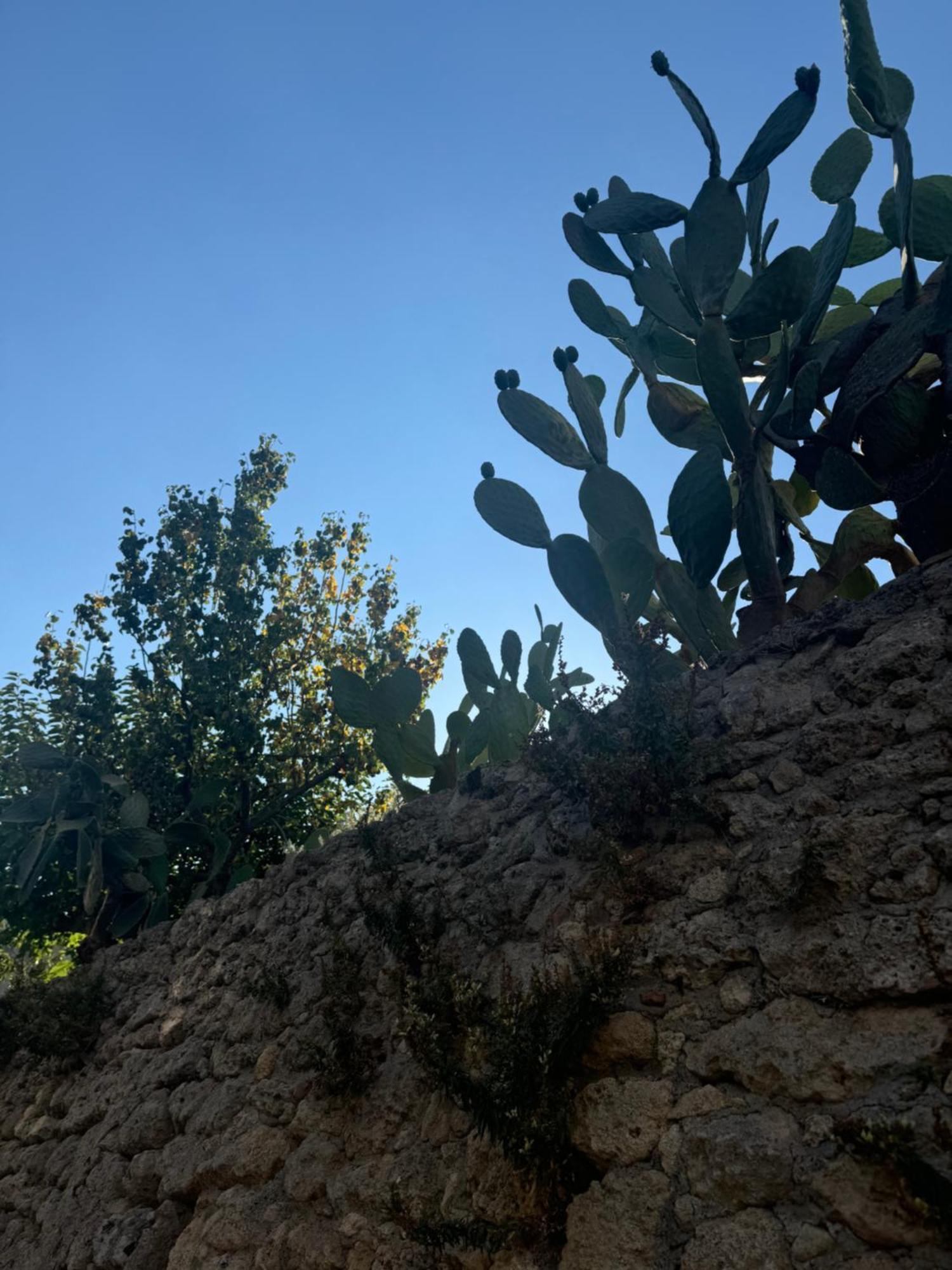 La Rosa Blu Bed and Breakfast Gerace Buitenkant foto